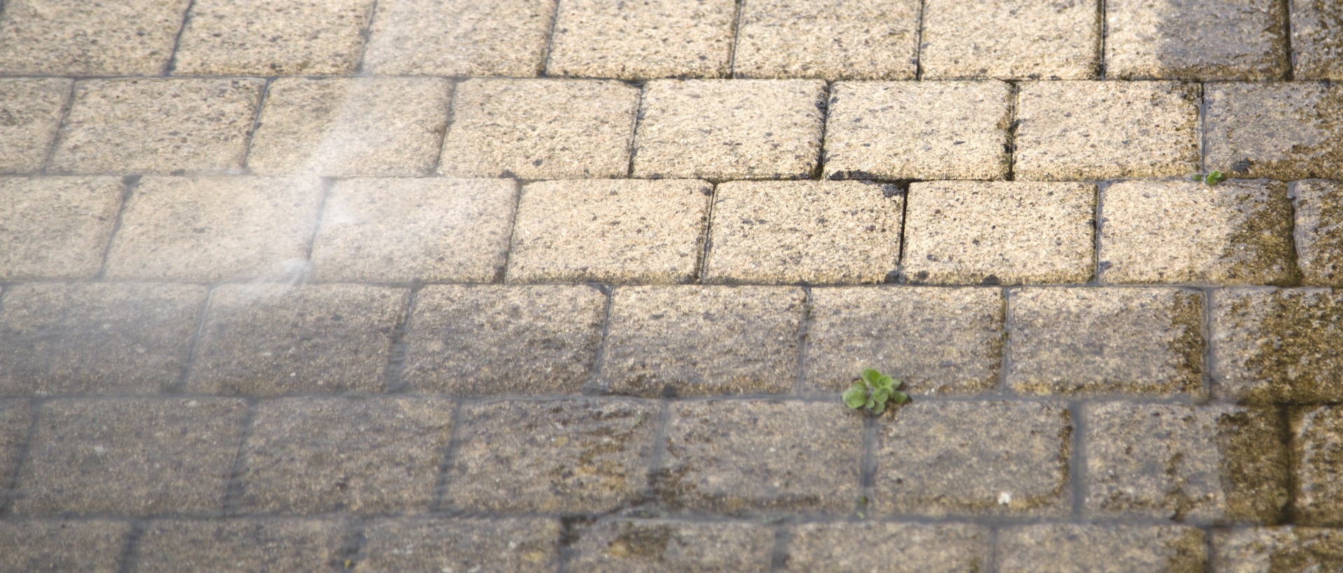 flagging and patios DA4