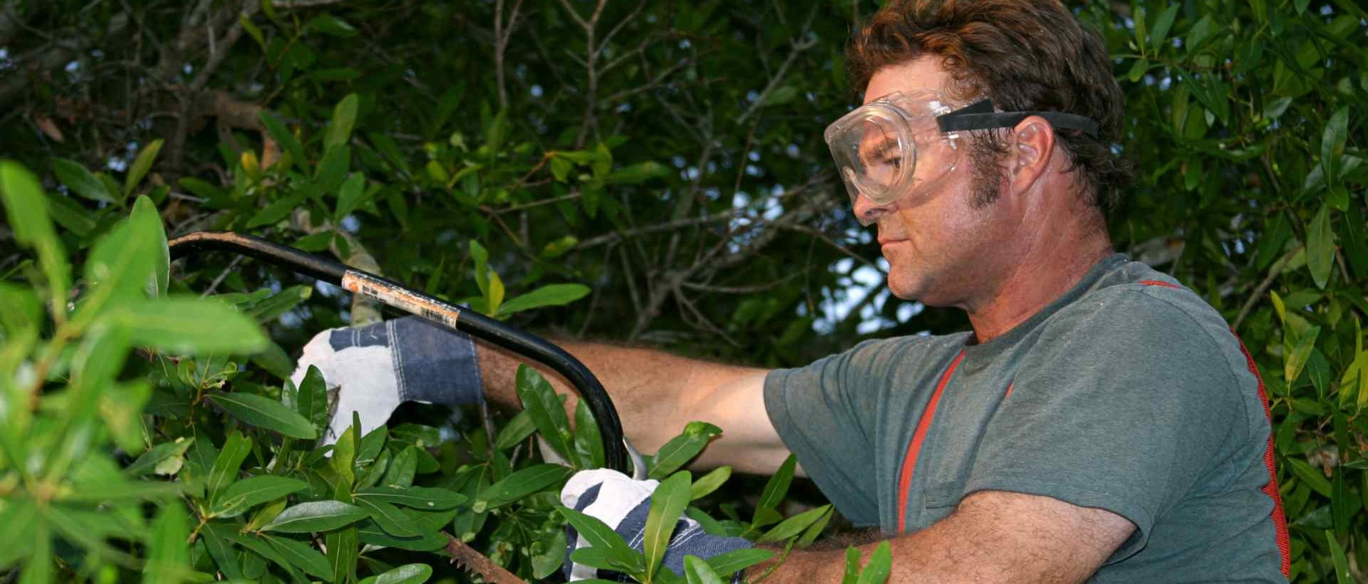 garden clearance DA4